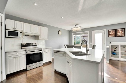 151 Saddlehorn Close Ne, Calgary, AB - Indoor Photo Showing Kitchen With Double Sink With Upgraded Kitchen