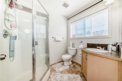 337-111 Tarawood Lane Ne, Calgary, AB - Indoor Photo Showing Bathroom