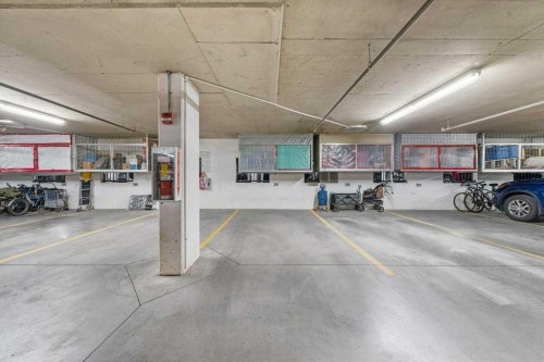 129-1 Crystal Green Lane, Okotoks, AB - Indoor Photo Showing Garage