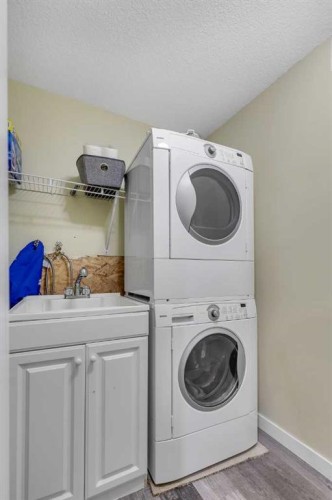 164 Covepark Close Ne, Calgary, AB - Indoor Photo Showing Laundry Room