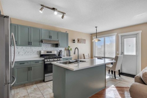 164 Covepark Close Ne, Calgary, AB - Indoor Photo Showing Kitchen With Double Sink With Upgraded Kitchen