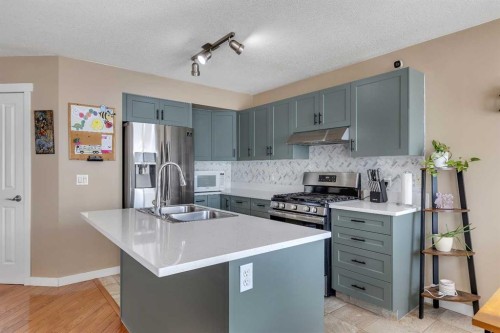 164 Covepark Close Ne, Calgary, AB - Indoor Photo Showing Kitchen With Double Sink With Upgraded Kitchen