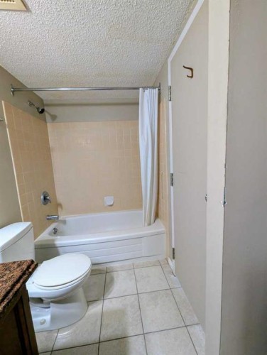 703-1202 13 Avenue Sw, Calgary, AB - Indoor Photo Showing Bathroom