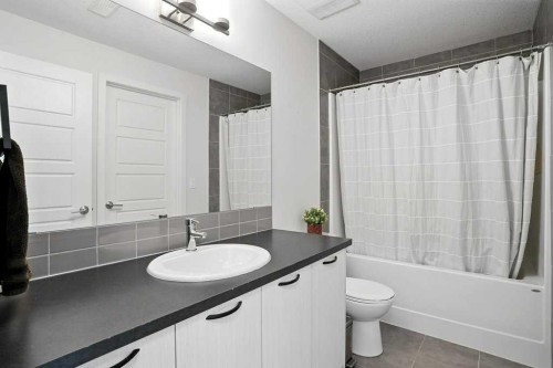 123-115 Sagewood Drive Sw, Airdrie, AB - Indoor Photo Showing Bathroom