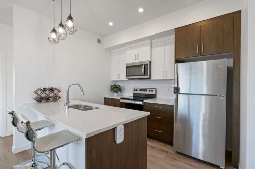 217-205 Spring Creek Common Sw, Calgary, AB - Indoor Photo Showing Kitchen With Double Sink
