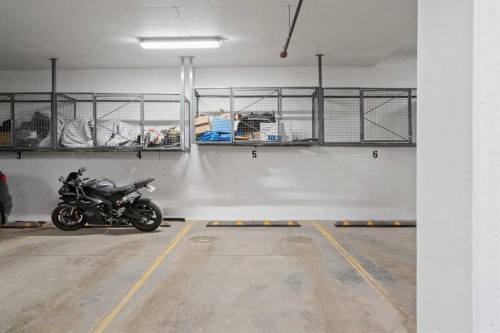 217-205 Spring Creek Common Sw, Calgary, AB - Indoor Photo Showing Garage