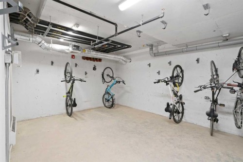 217-205 Spring Creek Common Sw, Calgary, AB - Indoor Photo Showing Garage