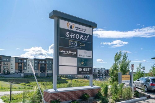 217-205 Spring Creek Common Sw, Calgary, AB - Outdoor