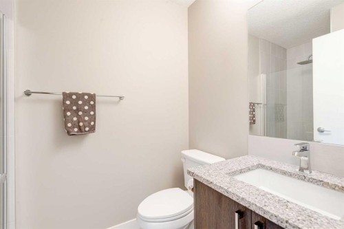 205-93 34 Avenue Sw, Calgary, AB - Indoor Photo Showing Bathroom