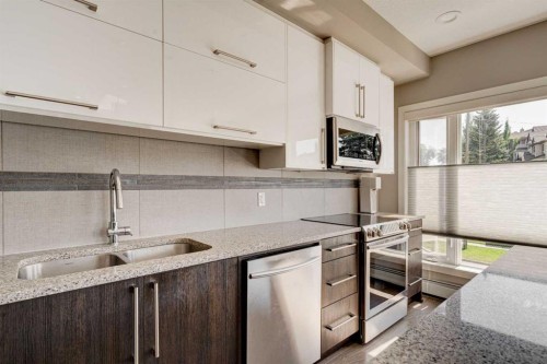 205-93 34 Avenue Sw, Calgary, AB - Indoor Photo Showing Kitchen With Double Sink With Upgraded Kitchen