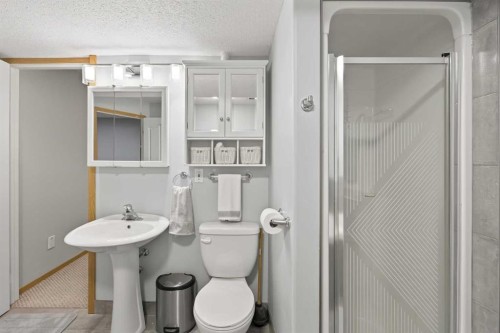 131 Cambria Road, Strathmore, AB - Indoor Photo Showing Bathroom