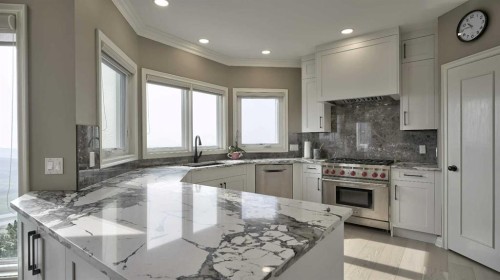 57 Edelweiss Point Nw, Calgary, AB - Indoor Photo Showing Kitchen With Upgraded Kitchen