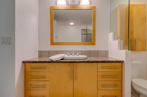 1103-817 15 Avenue Sw, Calgary, AB - Indoor Photo Showing Bathroom