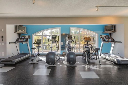 304-10 Hemlock Crescent Sw, Calgary, AB - Indoor Photo Showing Gym Room