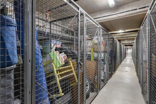 304-10 Hemlock Crescent Sw, Calgary, AB - Indoor With Storage