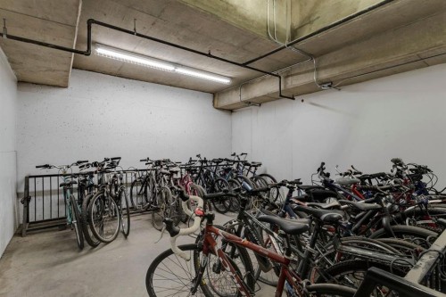 304-10 Hemlock Crescent Sw, Calgary, AB - Indoor Photo Showing Garage