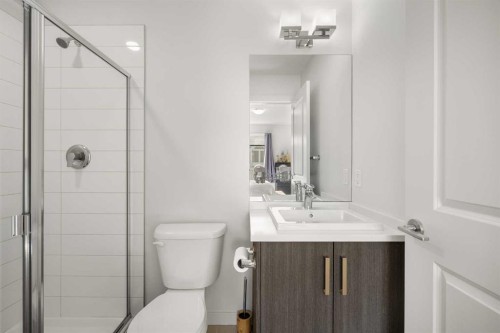 104 Sherwood Lane Nw, Calgary, AB - Indoor Photo Showing Bathroom