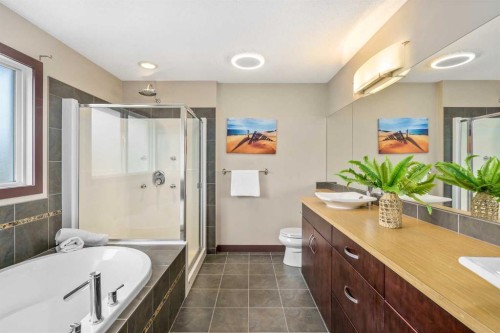 26 Mahogany Green Se, Calgary, AB - Indoor Photo Showing Bathroom