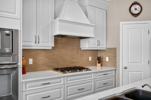 2075 Brightoncrest Common Se, Calgary, AB - Indoor Photo Showing Kitchen With Double Sink With Upgraded Kitchen