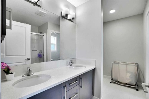 99 Savanna Way Ne, Calgary, AB - Indoor Photo Showing Bathroom