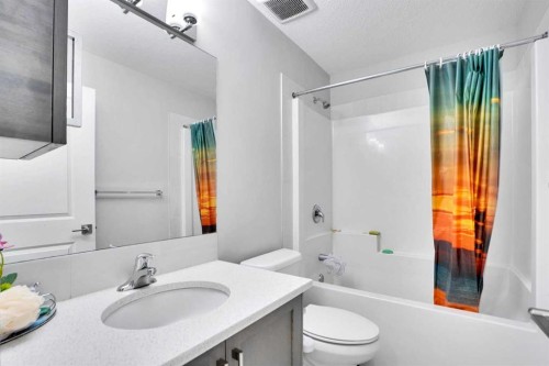 99 Savanna Way Ne, Calgary, AB - Indoor Photo Showing Bathroom