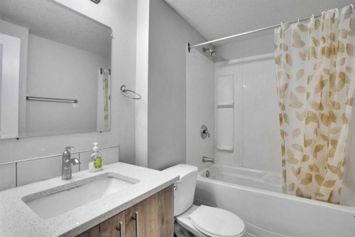 99 Savanna Way Ne, Calgary, AB - Indoor Photo Showing Bathroom