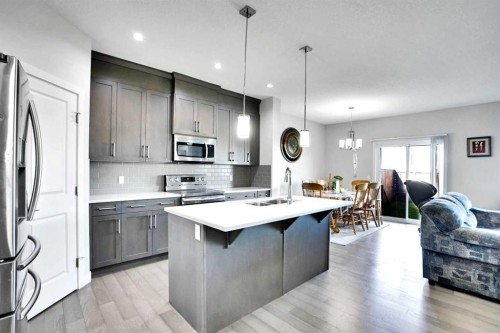 99 Savanna Way Ne, Calgary, AB - Indoor Photo Showing Kitchen With Double Sink With Upgraded Kitchen