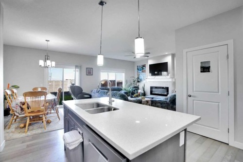 99 Savanna Way Ne, Calgary, AB - Indoor Photo Showing Kitchen With Fireplace With Double Sink