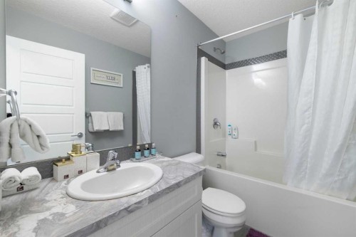 218 Willow Place, Cochrane, AB - Indoor Photo Showing Bathroom
