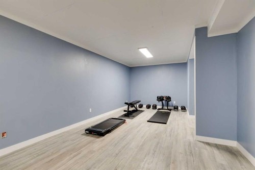 274 Mt Assiniboine Place Se, Calgary, AB - Indoor