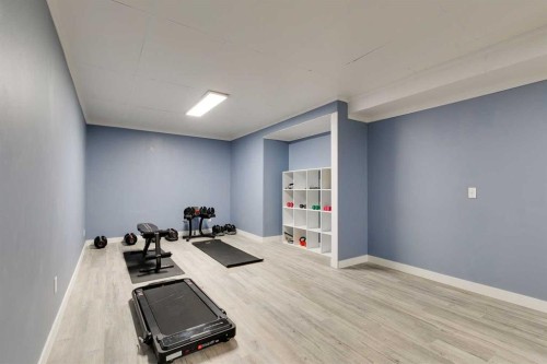 274 Mt Assiniboine Place Se, Calgary, AB - Indoor Photo Showing Gym Room