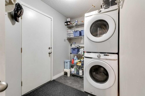 274 Mt Assiniboine Place Se, Calgary, AB - Indoor Photo Showing Laundry Room