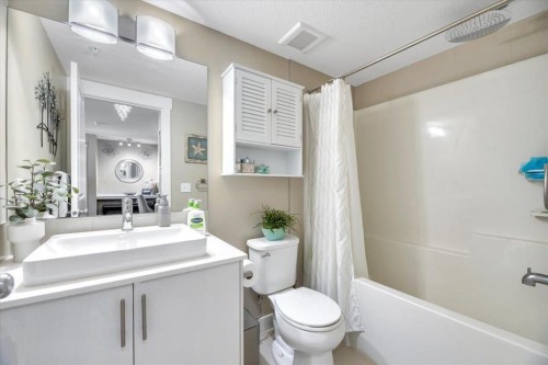 1210-302 Skyview Ranch Drive, Calgary, AB - Indoor Photo Showing Bathroom