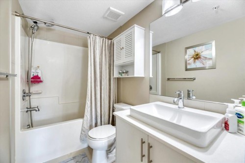 1210-302 Skyview Ranch Drive, Calgary, AB - Indoor Photo Showing Bathroom