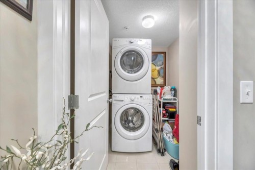 1210-302 Skyview Ranch Drive, Calgary, AB - Indoor Photo Showing Laundry Room