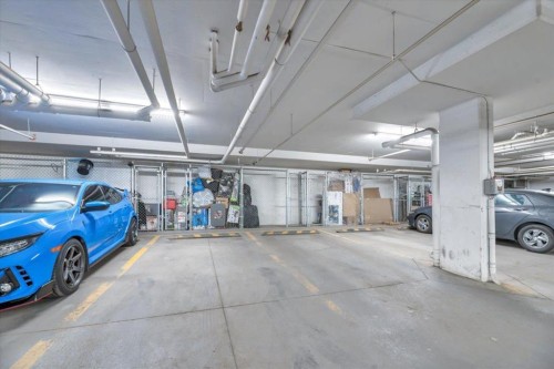 1210-302 Skyview Ranch Drive, Calgary, AB - Indoor Photo Showing Garage