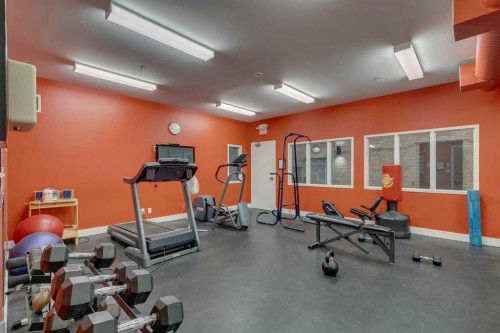 221-220 11 Avenue Se, Calgary, AB - Indoor Photo Showing Gym Room