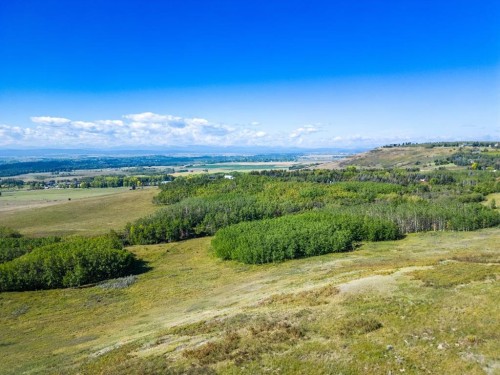 1420 101 Street Sw, Calgary, AB 