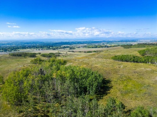 1420 101 Street Sw, Calgary, AB 