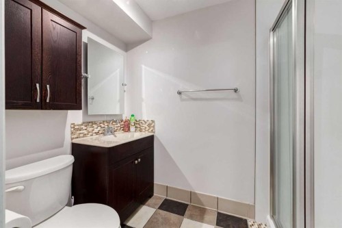 27 Bedfield Close Ne, Calgary, AB - Indoor Photo Showing Bathroom