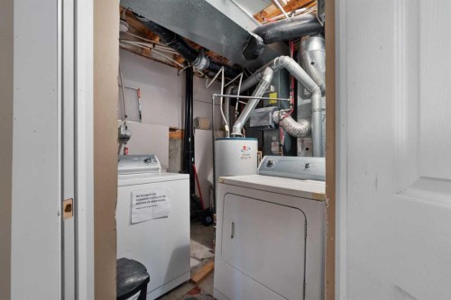 234 Tarawood Place Ne, Calgary, AB - Indoor Photo Showing Laundry Room