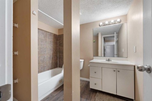 234 Tarawood Place Ne, Calgary, AB - Indoor Photo Showing Bathroom