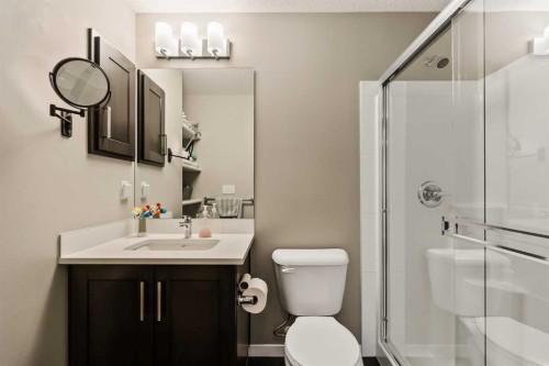 204-10 Mahogany Mews Se, Calgary, AB - Indoor Photo Showing Bathroom