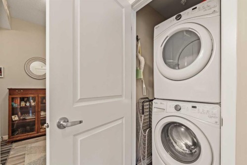204-10 Mahogany Mews Se, Calgary, AB - Indoor Photo Showing Laundry Room