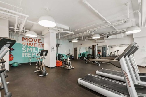 204-10 Mahogany Mews Se, Calgary, AB - Indoor Photo Showing Gym Room