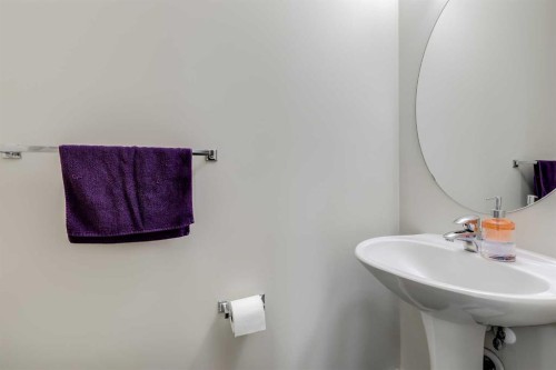 5113-333 Taralake Way Ne, Calgary, AB - Indoor Photo Showing Bathroom