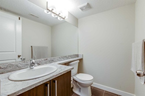 5113-333 Taralake Way Ne, Calgary, AB - Indoor Photo Showing Bathroom