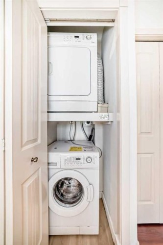 10-305 Village Mews Sw, Calgary, AB - Indoor Photo Showing Laundry Room
