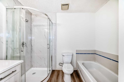 10-305 Village Mews Sw, Calgary, AB - Indoor Photo Showing Bathroom