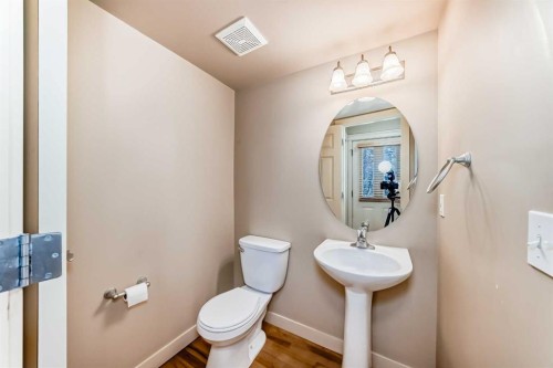 42 Ypres Green Sw, Calgary, AB - Indoor Photo Showing Bathroom